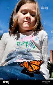 Esther Richards, 7 ,watches a monarch butterfly as it rests