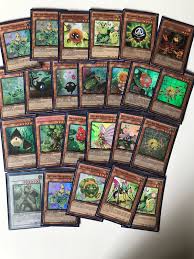 Calabaza naturia, escarabajo naturia, hortensia naturia, castaña naturia. Yugioh Naturia Deck In 67059 Ludwigshafen Am Rhein For 25 00 For Sale Shpock