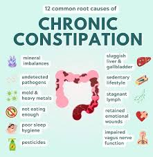 Image result for Chronic Constipation