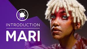 Introduction to Mari for Complete Beginners