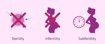 What's The Difference Between Infertility, Sterility & Subfertility?