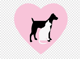 Home previous pet care﻿ next >>. Pet Sitting Dog Walking Business Cards Lovely Puppy Horse Animals Carnivoran Png Pngwing