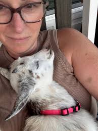 Come out and see us! Get to cuddle some ranch animals!!