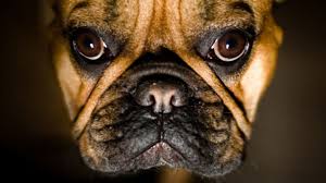 4 Ways to Be Brutally Honest Without Being Brutal | Inc.com