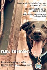 We did not find results for: My Dog Jack Was Hit By A Car Thursday Night He Died In My Arms This Poem Is For Him Animal Lover Quotes Puppy Mom I Love Dogs