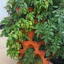 Garden Tower Project On Instagram Garden Tower 2 With Tomatoes Basil Rosemary Peppers Strawberries And More Plan Tower Garden Garden Planters Diy Plants