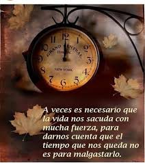 Aprovechemos El Tiempo Al Maximo A Ser Felices Mandalas Y Crecer Actitud Recuerdos Positivo S Frases De Sabiduria Frases Frases De Sentimientos