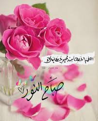 pin by smile for life on صباحكم جميل كابتسامتكم good morning flowers beautiful rose flowers happy birthday pictures