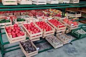 Zbog suše otkup i distribucija poljoprivrednih proizvoda podbacili i do 50  odsto