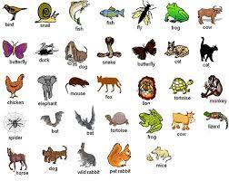 Di bumi atau di dunia ini memiliki banyak sekali makhluk hidup yang tinggal didalamnya. Nama Nama Hewan Dalam Bahasa Inggris Beserta Arti Dan Cara Bacanya