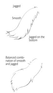Tail Types 2 Furry Drawing Anime Drawings Tutorials Drawing Tips