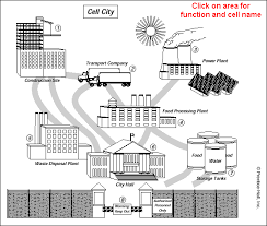 For this project, you are to create a cell city analogy. Science Life Education Images Analogies And Models Symbols Cell City Cell City Project Cells Project