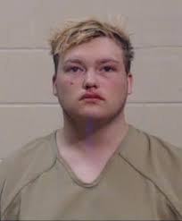 Teen charged with sexually assaulting 7-year-old relative