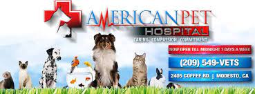 Call for appointment now · trusted professionals American Pet Hospital Home Facebook