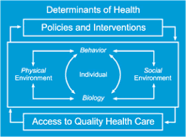 Determinants Of Health Diagram Health Policy Health Health Promotion