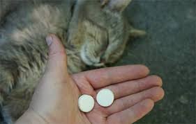 I am not sure if you have heard of it or have experience with it before, but this is one good sedative to use. How To Sedate A Cat For Travel Cat Sleeping Pills For Travel