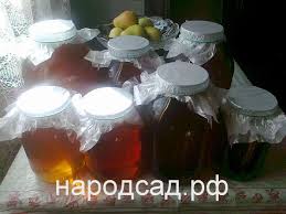 Https Lh3 Googleusercontent Com Proxy Lbxcuwm9sexh6nr9wnjyrfexg8xhecbwbgtzx3yl0na1nq4fqufo1fjzhc 5mxezqgqb1ycvi 0ve0nfnxjom56ahjfpwokwhbdlogmfvcveozuhcsfunwpimvrah1ce5eoq0fxrud7shtsaexluhpcfuucbdfgxselusu9ogypy 1iwzgbbbzur3ehplkvi0igon2uf1cjyeeggnupny6ghon6f 1daxakmhghwwq Wpc Qw5m4lr6 Dnemkuxrjmn Nmzbk1wn6vbcp63eihr9bpr9o82iuiervi152swq Ki0zdxxqol8azxcnaohxa Csfd6ogcx7mtftnq1 Swgcbpgnrdbehcikhry Ru5mgjoinokbbs1f 4sf 2fdgjnvrz3bigaczzoih Y3q