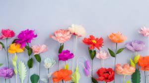 Benvenuto nel nostro mondo fatto di cartoline, ci auguriamo che tra queste immagini si celi la più adatta ad esprimere i tuoi sentimenti. á… Le Piu Belle Immagini Di Fiori Per Whatsapp