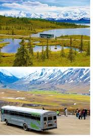 Maybe you would like to learn more about one of these? Eendaagse Safari Per Bus Door Denali National Park Alaska