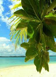 Missing This Place Philippines Philippines Philippines Beaches Beautiful Landscapes