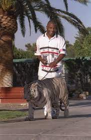 Tyson told the story to the rapper fat joe on a fat joe show video posted on. Mike Tyson Says Becoming Real Life Tiger King Brought Him Regret And Reveals Owning Three White Tigers Was A Mistake