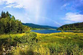 Vill du få tillgång till hela artikeln? Ein Regenbogen Uber Dem Schluchsee Hochschwarzwald Schluchsee Nature Afterrain Rainbow Lake View