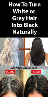 At its core, hair is naturally white. Krobknea How To Turn White Or Grey Hair Into Black Naturally