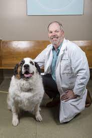 Come to us for services including i would highly recommend john and south side pet hospital to anyone with a pet. Westside Animal Hospital Veterinarian In Augusta Ga