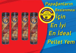 energy cube 2021 papagan hammadde kus