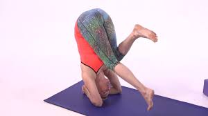 Yoga poses names, sanskrit names av the most common asanas (yoga poses) and pranayamas. 5 Hard Yoga Poses Made Easy Health Youtube