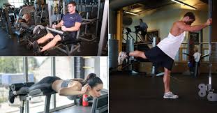 Alle drie de spieren lopen van het zitbeen (latijn: Ubungen Fur Die Hamstrings Wie Kann Man Die Hinteren Oberschenkelmuskulatur Starken Gymbeam Blog