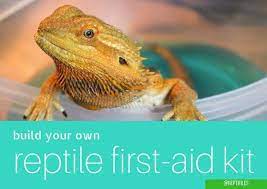 19 Bearded Dragon Ideas Bearded Dragon Bearded Dragon Care Bearded Dragon Diet