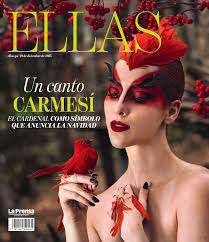 En Chile, el programa ¿Quién es la Máscara? se produjo y se estrenó en  plena pandemia. Se crearon 36 trajes, una labor artesanal que requirió  personal especializado. La diseñadora de cada uno