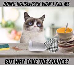 Pin By Brenda Durden On Just Funny Grumpy Cat Humor Grumpy Cat Grumpy Cat Meme