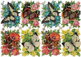 Herken diverse soorten nederland, verschillende vlindersoorten, kleine blauwe vlinder, vlinders, vlinderfotografie, plaatjes, vlinderplaatjes, fotografie, natuurfoto. Pzb 1352 Colorful Butterflies Butterfly Flowers Art