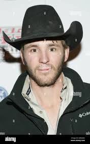 Pbr bull hi-res stock photography and images