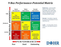 9 Box Matrix Organisationsentwicklung Weiterbildung Fuhrungsqualitaten Entwickeln