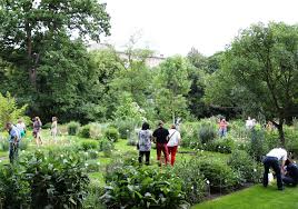 Der botanische garten liegt nordöstlich der braunschweiger innenstadt mit je etwa zwei hektar fläche. Blumenpracht Zum Sommeranfang Im Botanischen Garten Regionalheute De