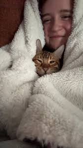 Bengal cat brings joy and stress