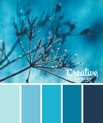 Celebrities that are a deep winter are: 15 Downloadable Color Palettes For Winter Creative Market Blog