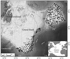 map showing the locations of grand bank flemish cap fc