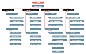 non profit organizational chart examples