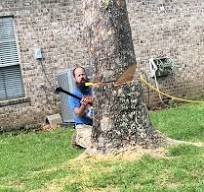Under control… until. Two wedges kick out 😳, tree reverses ...