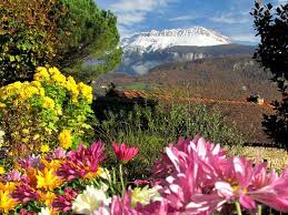 la grande sure en chartreuse jardins locations vacances vacances