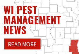 Assured pest control, llc has been serving southeastern wisconsin businesses since 1999. Top 4 Summer Pests In Milwaukee Ant Exterminators Southeast Wisconsin Wasp And Bee Removal Service Professional Mosquito Exterminators A Landlords Pest Management Milwaukee Wisconsin