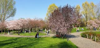 Auf ausgedehnten 21 hektar wiesen und wegen entecken sie die gärten der welt, wie zum beispiel den chinesischen garten, den japanischen und balinesischen garten, den koreanischen, den orientalischen, den irrgarten, den italienischen renaissancegarten, den christlichen garten und. File 20190407 135607 Garten Der Welt Berlin Marzahn Anagoria Jpg Wikimedia Commons