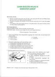 Check spelling or type a new query. Soal Dan Jawaban Biologi Kelas 11 Peranti Guru
