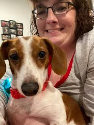 Merry Christmas from a dairy farm