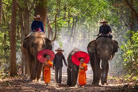 Melissanthi mahut is an actress who is best known for assassin's creed odyssey (2018), assassin's creed: 3 044 Surfen Thailand Fotos Kostenlose Und Royalty Free Stock Fotos Von Dreamstime