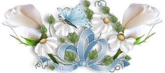 القرآن غيرني